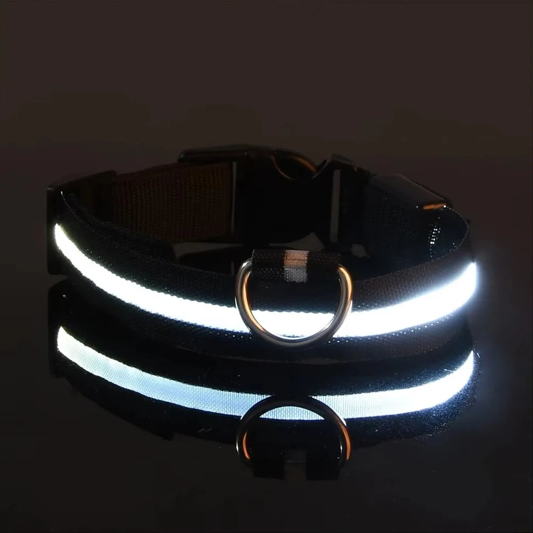 Reflective LED Dog Collar for Night Flashing Glow In The Dark Dog Leash Dogs Luminous Fluorescent Pet Dog Collar Pet Products