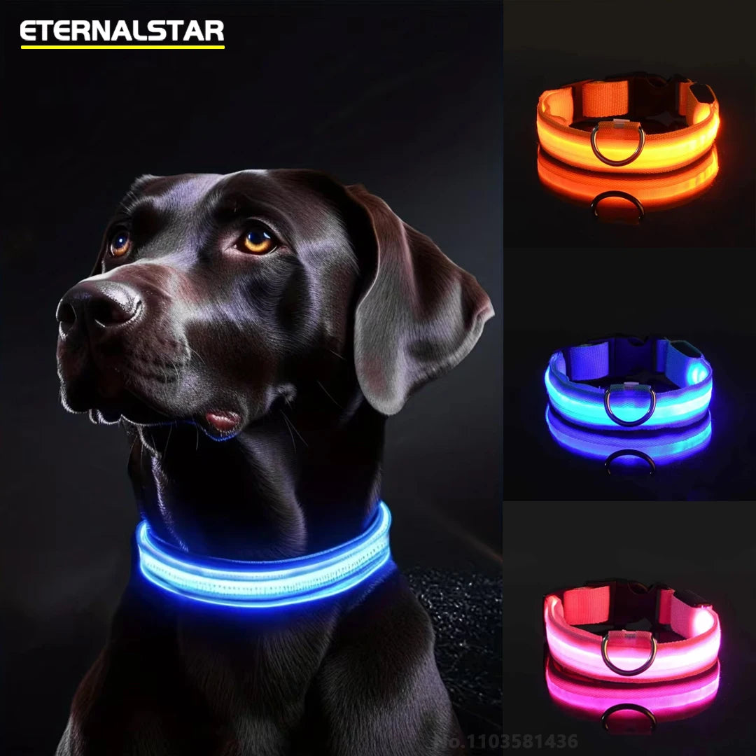 Reflective LED Dog Collar for Night Flashing Glow In The Dark Dog Leash Dogs Luminous Fluorescent Pet Dog Collar Pet Products