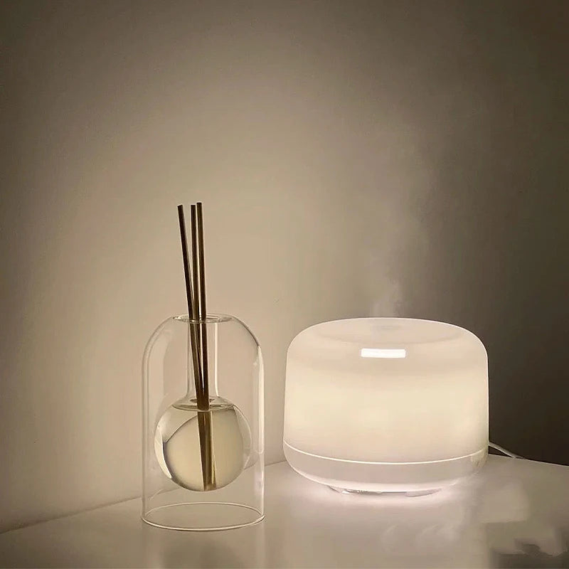 Bouteille de diffuseur d’aromathérapie Huile essentielle en verre avec diffuseurs Bâtons Décoration moderne pour la maison