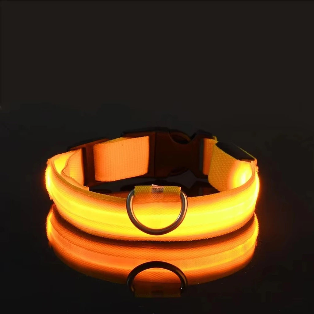 Reflective LED Dog Collar for Night Flashing Glow In The Dark Dog Leash Dogs Luminous Fluorescent Pet Dog Collar Pet Products