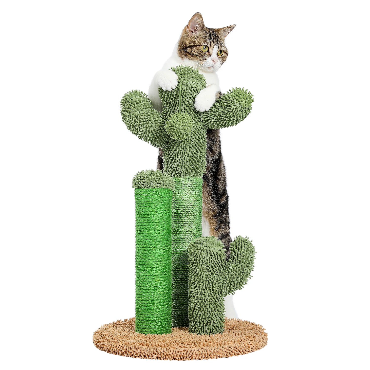 Arbre à chat Cactus 3 griffoirs + balle