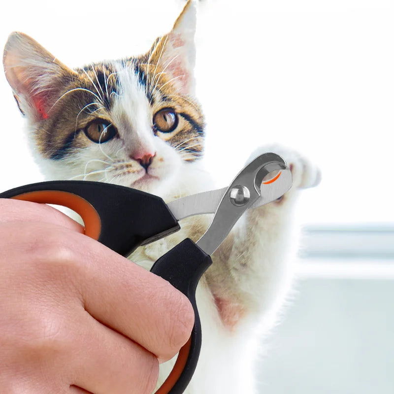 Ciseaux À Ongles Pour Animaux De Compagnie, Acier Inoxydable, Durable