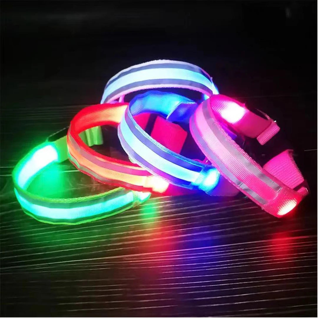 Reflective LED Dog Collar for Night Flashing Glow In The Dark Dog Leash Dogs Luminous Fluorescent Pet Dog Collar Pet Products
