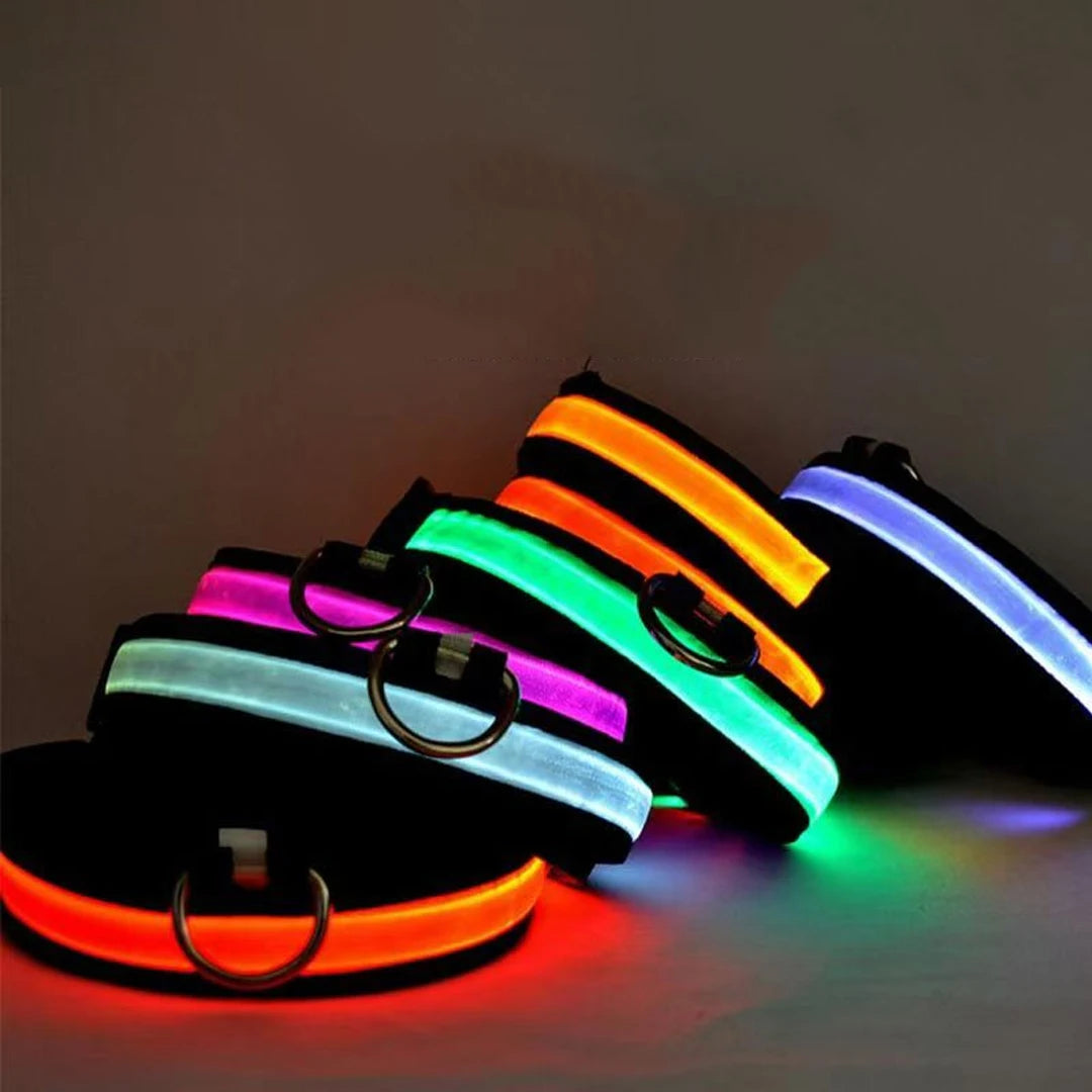 Reflective LED Dog Collar for Night Flashing Glow In The Dark Dog Leash Dogs Luminous Fluorescent Pet Dog Collar Pet Products