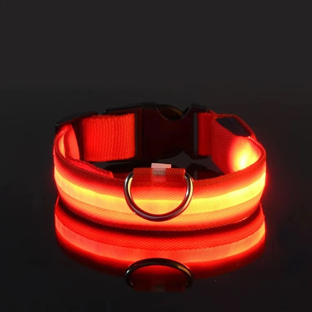 Reflective LED Dog Collar for Night Flashing Glow In The Dark Dog Leash Dogs Luminous Fluorescent Pet Dog Collar Pet Products