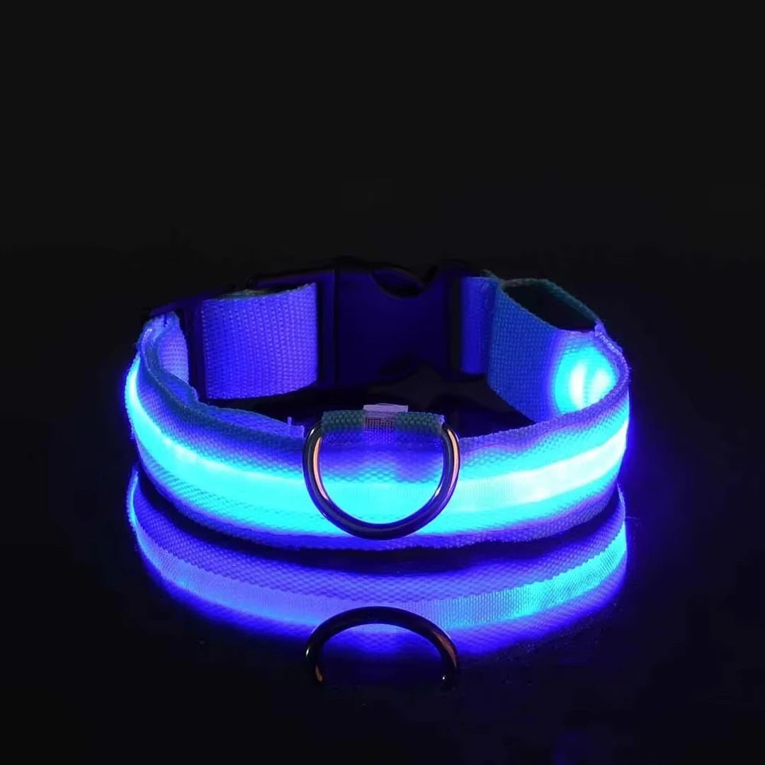 Reflective LED Dog Collar for Night Flashing Glow In The Dark Dog Leash Dogs Luminous Fluorescent Pet Dog Collar Pet Products