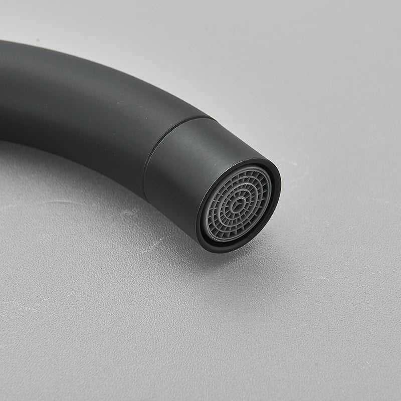 Mitigeur de cuisine mat 360 degrés | Mélangeur chaud et froid Robinet eau Noir Mat