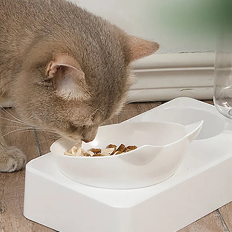 Bol pour animaux de compagnieInclinaison de 15 degrés pour protéger les vertèbres