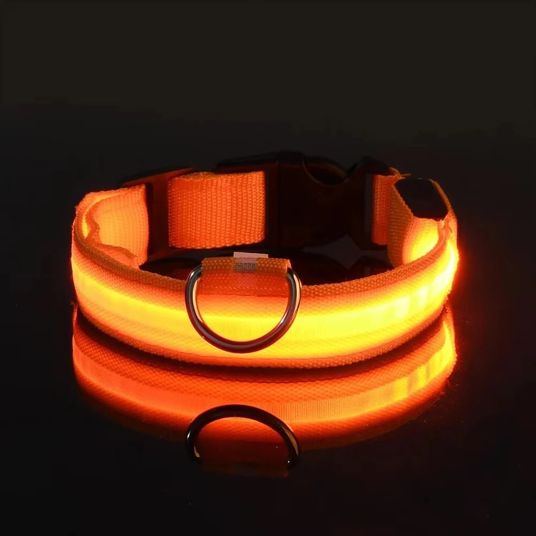 Reflective LED Dog Collar for Night Flashing Glow In The Dark Dog Leash Dogs Luminous Fluorescent Pet Dog Collar Pet Products