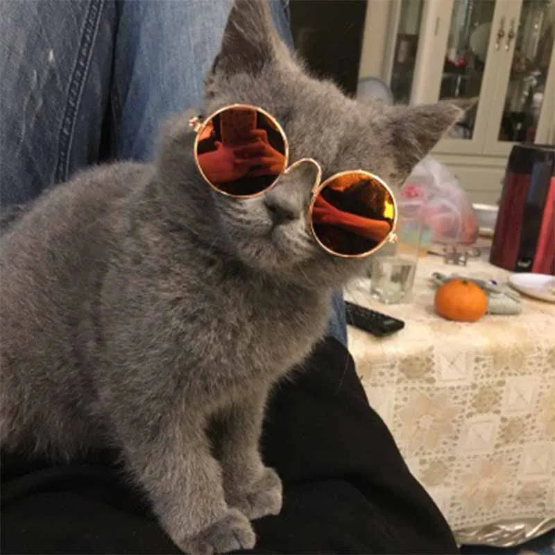 Pet Cat Glasses Fashion Cute Eye-Wear Sunglasses For Cats Dog Accessories For Little Pets Photos Prop Pet Products, 1 Piece
